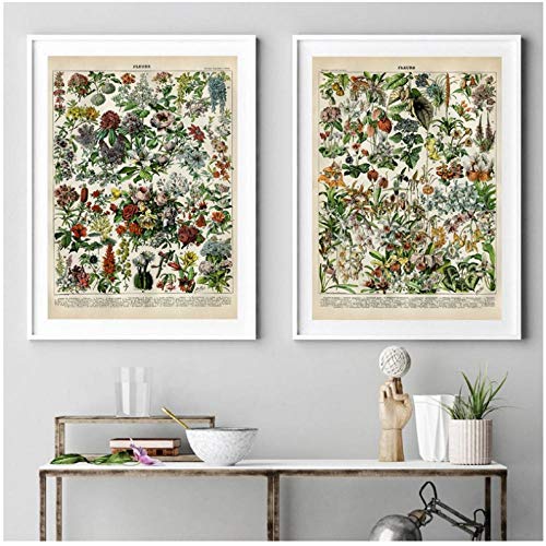 IGZAKER Flores de Plantas Impresiones de lienzos Rosas Tropicales Plantas de Interior Orquídeas Lilas Pintura de Arte de Pared - 50x75cmx2pcs （Sin Marco）