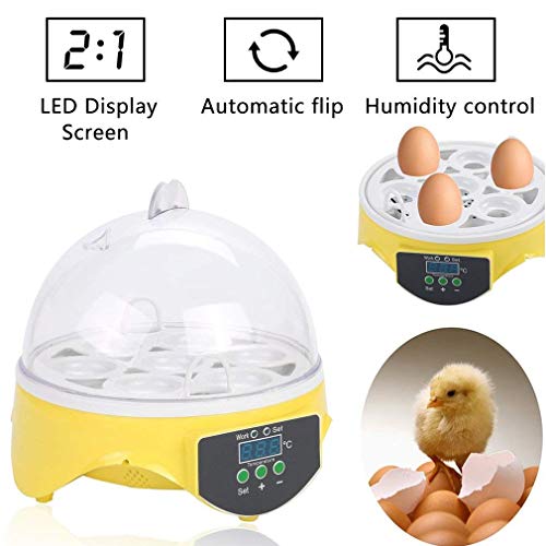 Incubadoras 7 Huevos Completamente Automáticos Incubadora Inteligente Incubadora Criadora de Motores Pollos con Temperatura y Control de Humedad,para Huevos, Huevos de Pato, Huevos de Fuego, etc