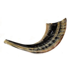 Israel es RAM Shofarot por Shofar de cuerno Shofar talla M 33-35cm pulido negro/oscuro