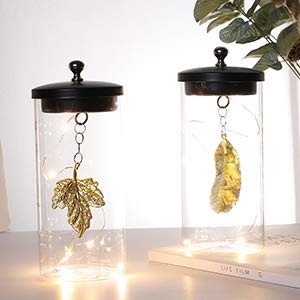 JHY DESIGN Juego de 2 lámparas decorativas colgantes de hojas Lámpara de batería inalámbrica de 18cm de altura con luces altas y luces de hadas para el Dormitorio Bodas Interior al aire libre (Hoja)