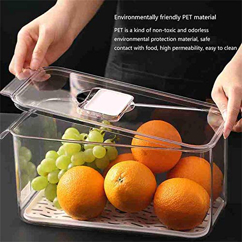 JINBAO Contenedor, Refrigerador Contenedores de Almacenamiento de Alimentos con Tapas, Tanque de Sello de Almacenamiento de Cocina, Caja separada de Frutas y Verduras, Transparente