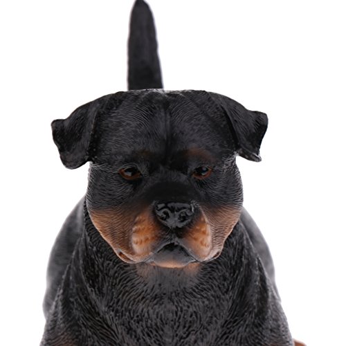 Juguetes de Modelo de Animal Realista de Plástico Decoración Casera - Rottweiler B