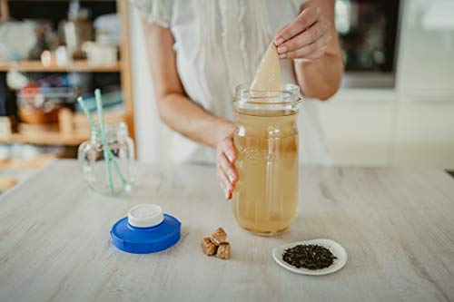 Kefirko - Kit para Segunda Fermentación de Kefir de Leche o de Agua | Tarro de 1.4l (Tapa incluída)