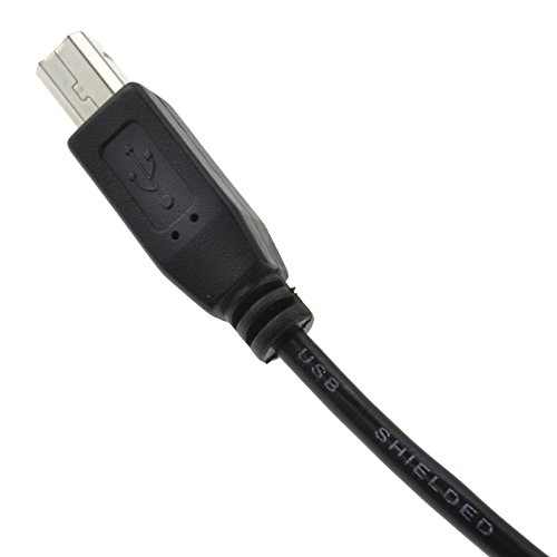 kenable USB 2,0 24AWG Alto Velocidad Cable Impresora Cable A a B Negro 3 m [3 metros/3m]