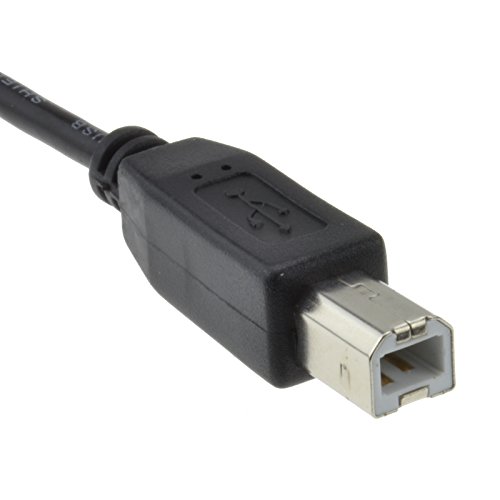 kenable USB 2,0 24AWG Alto Velocidad Cable Impresora Cable A a B Negro 3 m [3 metros/3m]