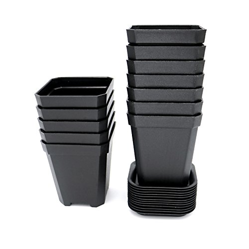 KINGLAKE 12 Piezas de macetas Negras cuadradas de 7 cm, Macetas plásticas cuadradas de Interior con paletas/bandejas, Gruesas