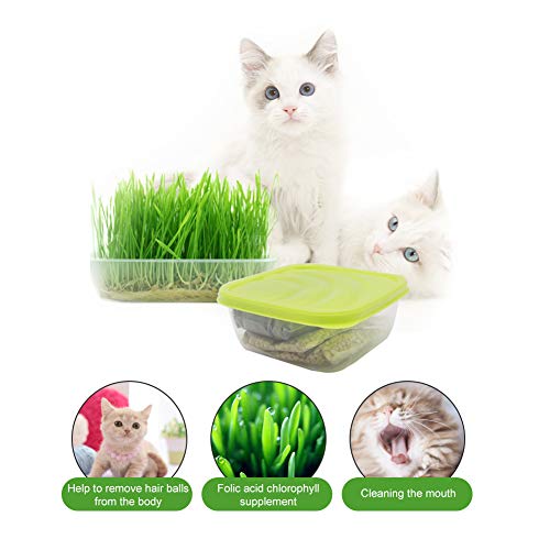 Kit de cultivo de hierba de gato, bricolaje kit de germinación de hierba para mascotas orgánico natural Kit de cultivo de hierba para mascotas Semilla de hierba de gato para gatos Perros Conejos y más