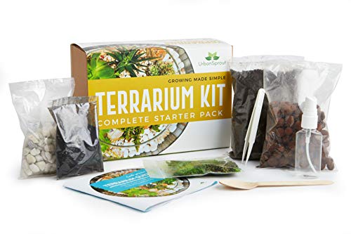 Kit de terrario para plantas suculentas y cactus. Incluye tierra de cactus, musgo, grava y guía paso a paso