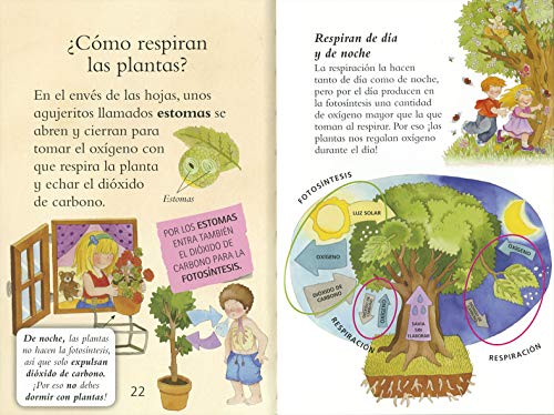 LAS PLANTAS (Ya sé LEER con Susaeta - nivel 2)