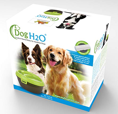 LazyBones Dog H2O - Fuente de Agua Potable, Capacidad de 6 litros