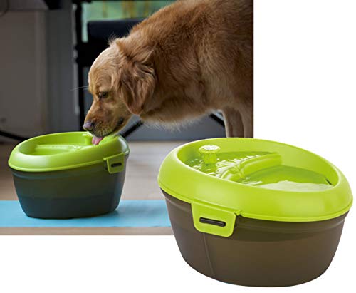 LazyBones Dog H2O - Fuente de Agua Potable, Capacidad de 6 litros