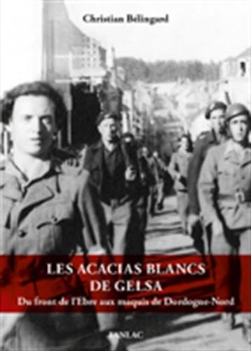 Les acacias blancs de Gelsa