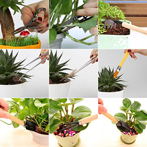 LIHAO 10 Piezas Mini Herramientas para Bonsái Kits de Herramientas de Jardinería Plantación de Cactus Suculentas Plantas Maceta