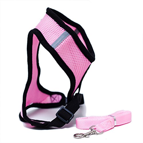 Locisne Tela de malla chaleco para perros Arnés suave ajustable cómodo | El plomo en el pecho del animal doméstico caminar con correa con clip (Rosa, Pequeño)