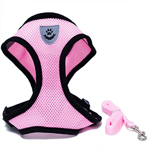 Locisne Tela de malla chaleco para perros Arnés suave ajustable cómodo | El plomo en el pecho del animal doméstico caminar con correa con clip (Rosa, Pequeño)