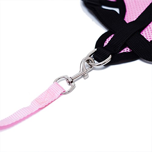 Locisne Tela de malla chaleco para perros Arnés suave ajustable cómodo | El plomo en el pecho del animal doméstico caminar con correa con clip (Rosa, Pequeño)