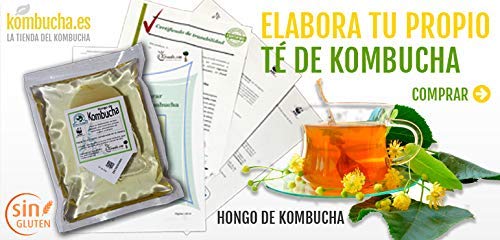 LOTE COMPLETO KOMBUCHA FRESCO, SCOBY KOMBUCHA - Con Registro Sanitario (RGSEAA) - Elabora Tu Propio Té de Kombucha Biológico en Casa