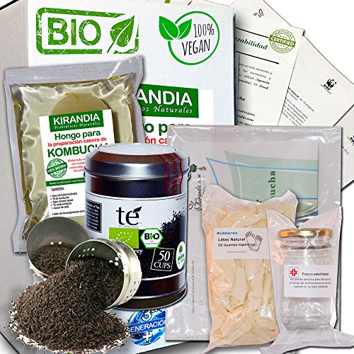 LOTE COMPLETO KOMBUCHA FRESCO, SCOBY KOMBUCHA - Con Registro Sanitario (RGSEAA) - Elabora Tu Propio Té de Kombucha Biológico en Casa