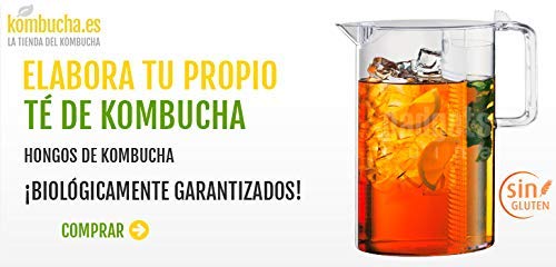 LOTE COMPLETO KOMBUCHA FRESCO, SCOBY KOMBUCHA - Con Registro Sanitario (RGSEAA) - Elabora Tu Propio Té de Kombucha Biológico en Casa