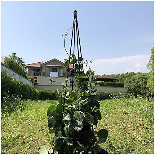 LUNAH Enrejado de jardín, Marco de Escalada para Plantas, Torre de Enrejado, Soporte para Plantas, Estante de Flores para Plantas trepadoras, para el hogar, jardín, trepadoras, vides, Soportes par