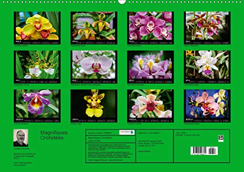 Magnifiques Orchidées(Premium, hochwertiger DIN A2 Wandkalender 2020, Kunstdruck in Hochglanz): Belles photographies d'orchidées exotiques (Calendrier mensuel, 14 Pages ) (Calvendo Nature)