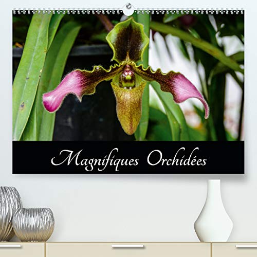 Magnifiques Orchidées(Premium, hochwertiger DIN A2 Wandkalender 2020, Kunstdruck in Hochglanz): Belles photographies d'orchidées exotiques (Calendrier mensuel, 14 Pages ) (Calvendo Nature)