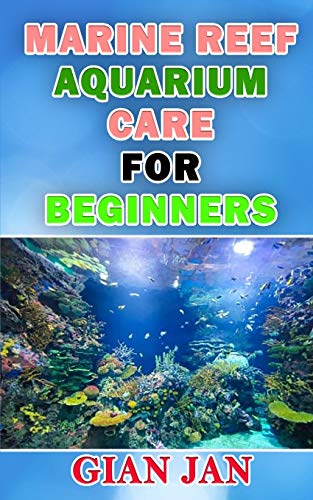 MARINE REEF AQUARIUM CARE FOR BEGINNERS