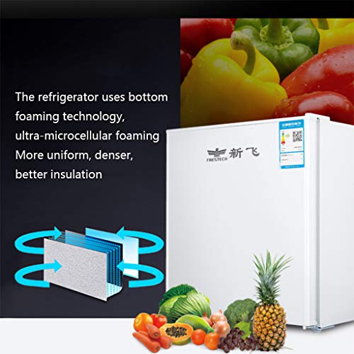 Mini refrigerador portátil, Alquiler de dormitorios en el hogar, refrigerador refrigerado de bajo Consumo y Ahorro de energía de 55 litros, con cámara fría de microcongelación