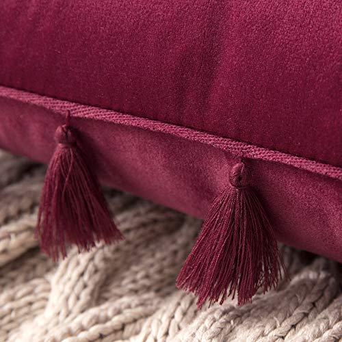 MIULEE Pack de 2 Terciopelo Funda de Borla Cojine Fundas Almohada del Sofá Throw Cojín Decoración Caso de la Cubierta Decorativo Almohadas para Sala de Estar 18x18inch 45x45cm Vino Rojo