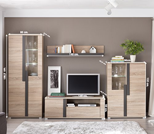 Mueble Modular Moderno de salón Link de 320 cm. formado por Mueble TV y vitrinas. Color Roble.