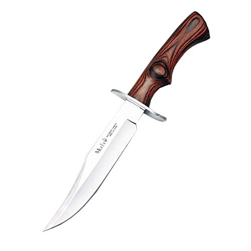 Muela Cuchillo de caza Cazorla CAZ-16R con hoja de acero inoxidable MoVa y empuñadura de madera rosewood para Caza, Pesca, Supervivencia y Bushcraft + Portabotellas de regalo