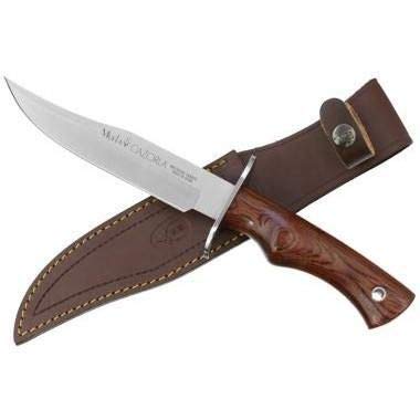 Muela Cuchillo de caza Cazorla CAZ-16R con hoja de acero inoxidable MoVa y empuñadura de madera rosewood para Caza, Pesca, Supervivencia y Bushcraft + Portabotellas de regalo