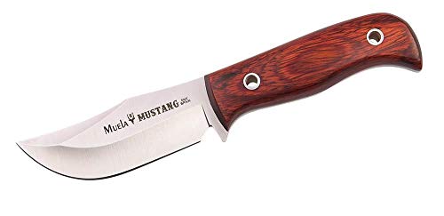 Muela Cuchillo de Caza Mustang MUSTANG-8R con Hoja de Acero Inoxidable MoVa de 8 cm y empuñadura de Madera Coral de 9 cm para Caza, Pesca, Supervivencia y Bushcraft + Portabotellas de Regalo