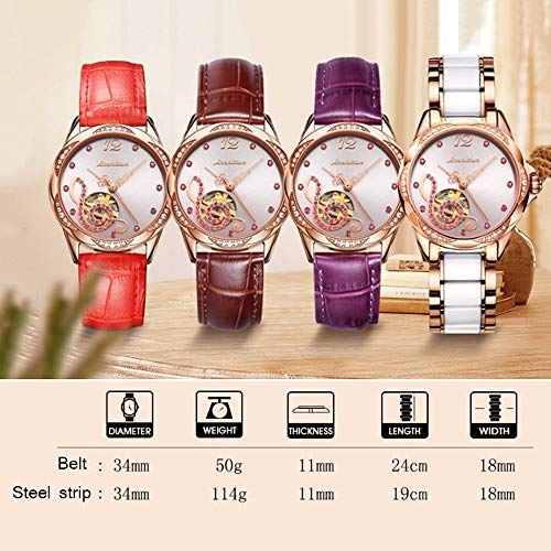 Mujer Rojo Hueco del Reloj De Señoras De Cuero con Personalidad Tendencia Diamante Impermeable del Reloj De Las Mujeres, Cuero Marrón Rose Shell Fideos (Color : C)