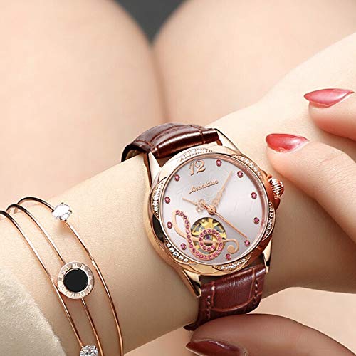 Mujer Rojo Hueco del Reloj De Señoras De Cuero con Personalidad Tendencia Diamante Impermeable del Reloj De Las Mujeres, Cuero Marrón Rose Shell Fideos (Color : C)