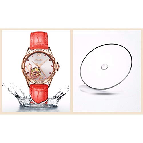 Mujer Rojo Hueco del Reloj De Señoras De Cuero con Personalidad Tendencia Diamante Impermeable del Reloj De Las Mujeres, Cuero Marrón Rose Shell Fideos (Color : C)