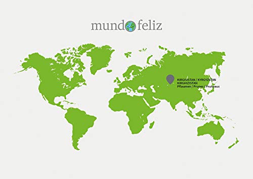 Mundo Feliz - Ciruelas ecológicas secas sin hueso, 2 bolsas de 500 g