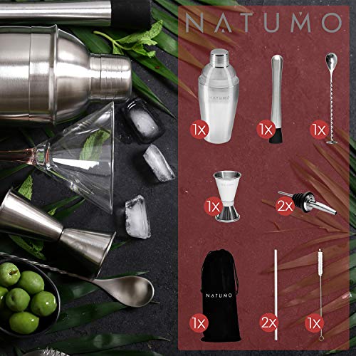 NATUMO Juego de Coctelera Profesional Premium con accesorios inox 9 piezas, coctelera profesional kit portatil incluye vaso, medidor, cuchara, pajitas de metal, 550ml