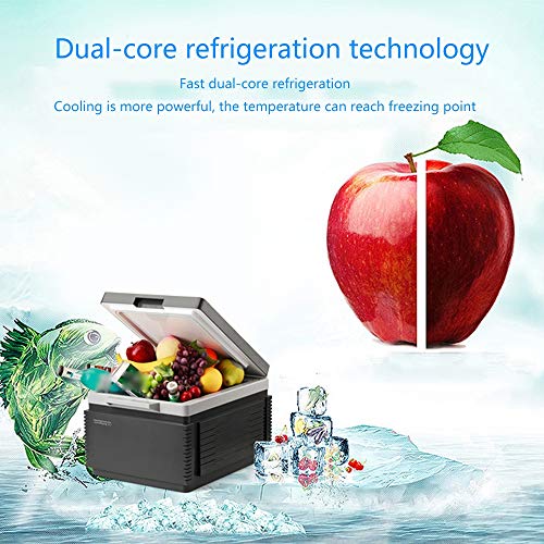 NCBH Refrigerador portátil para automóvil Mini calefacción Caja de enfriamiento Refrigerador de batería incorporada de Doble núcleo criogénico Adecuado para Viajes Camping Barbacoa 12L