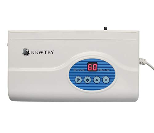 NEWTRY 300ST - Máquina de desintoxicación de ozono para uso doméstico con oxígeno activo O3 frutas y verduras, purificador de agua de aire, generador de ozono, con secador de aire, 110 V/220 V