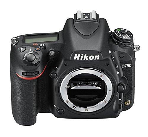 Nikon D750 - Cámara réflex digital de 24.3 Mp (pantalla 3.2", vídeo Full HD), color negro - Solo cuerpo,