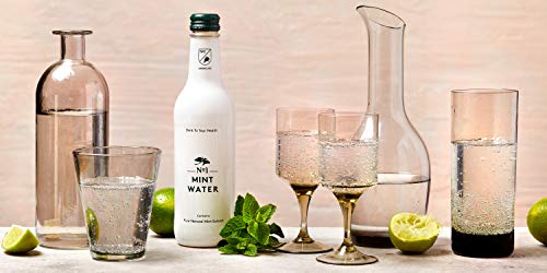 No.1 Botanicals Agua Aromatizada con Menta – Agua con Gas con Extracto Orgánico de Menta - Sin azúcar ni Edulcorantes – Soft Drink o Cocktail Mixer (12 x 330ml)