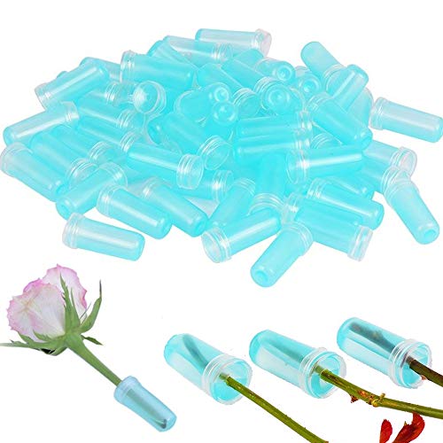 Nuluxi Flores Tubos de Agua de Plástico Transparentes Floristería Flor Contenedor De Agua Tubo De Flores Suministros Florales para Flores, Floristería, Arreglos Florales y Plantas Hidropónicas (4cm)