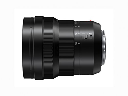 Panasonic LEICA DG VARIO-ELMARIT H-E08018 - Objetivo Gran angular para cámaras de montura M4/3 (Focal 8-18 mm, F2.8-F4, lentes asféricas, tamaño filtro 67 mm, resistente agua/polvo/congelación), negro