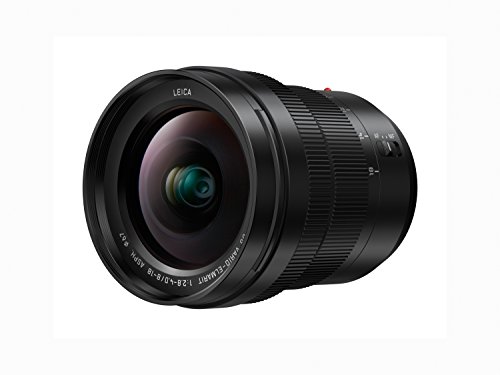 Panasonic LEICA DG VARIO-ELMARIT H-E08018 - Objetivo Gran angular para cámaras de montura M4/3 (Focal 8-18 mm, F2.8-F4, lentes asféricas, tamaño filtro 67 mm, resistente agua/polvo/congelación), negro