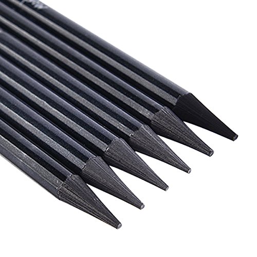 Paquete de 6 lápices de grafito, carbón vegetal woodless Sticks suave lápiz Set, no madera lápices HB 2B 4B 6B 8B EE para artista principiante grafito dibujo escribir garabatear regalo 6 Pcs Set