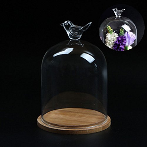 Pinzhi Vaso de Vidrio Transparente Jarra Jarra Flor de Cúpula Jarrón con Base de Madera(Pájaro)