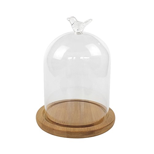 Pinzhi Vaso de Vidrio Transparente Jarra Jarra Flor de Cúpula Jarrón con Base de Madera(Pájaro)