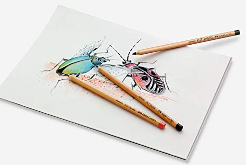 PITT Faber-Castell Lápiz Pastel, 1 Unidad, Color Canela 189