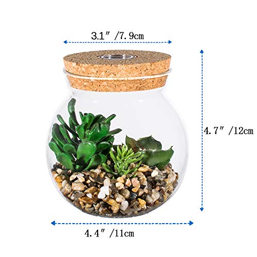 Plantas Suculentas Artificiales en Vaso Macetas con LED Diseño de Aromaterapia Corcho,Mini Plantas Falsas Faux Cactus Bonsai en Terrario Maceta Decoración para Dormitorio y Sala de Estar,Luz Blanca